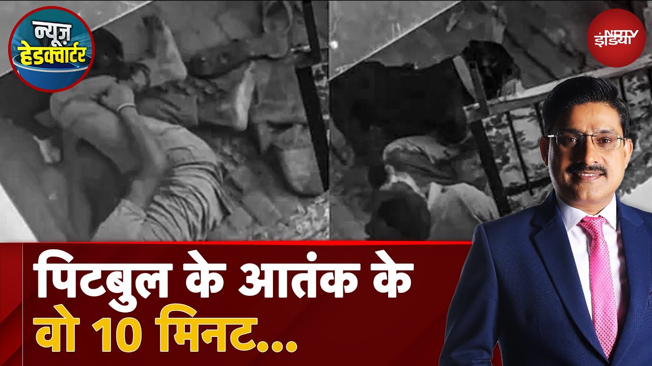 Noida में Pitbull Dog का खौफनाक हमला! Sector 108 में कुत्ते ने कर्मचारी को बुरी तरह घायल किया