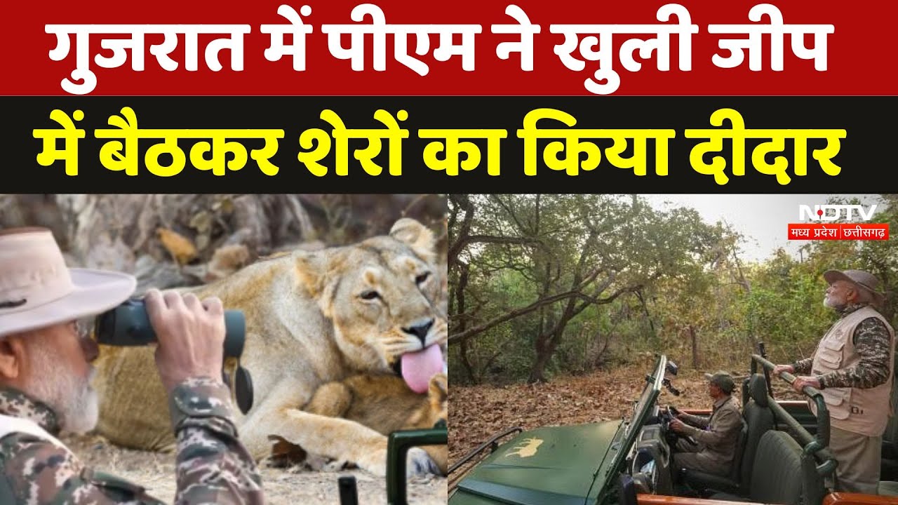 PM Modi In Gujarat: पीएम मोदी ने की जंगल सफारी, इस अंदाज में आए नजर | Jungle Safari | Latest News