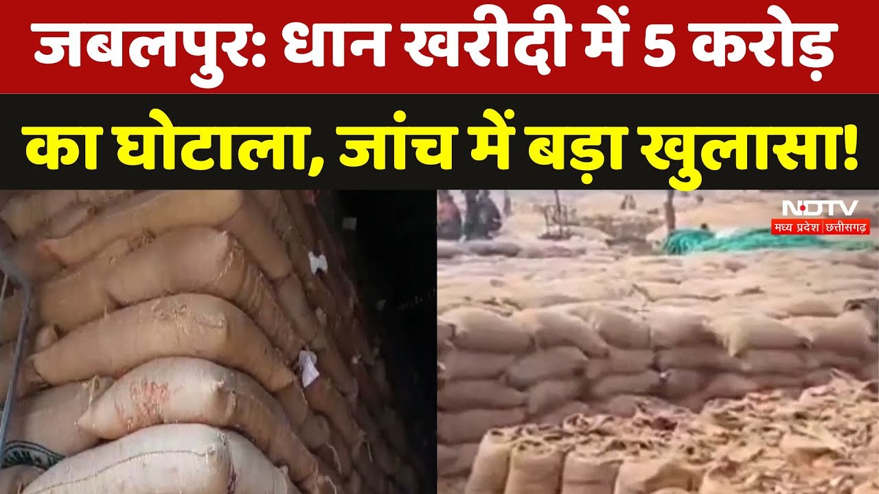 Jabalpur News: धान खरीदी में 5 करोड़ का घोटाला, जानिए क्या है पूरा मामला?