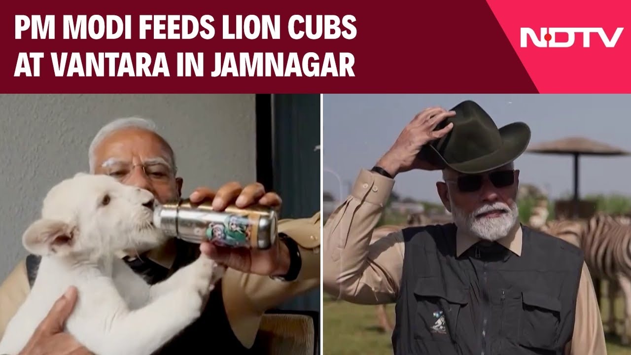 PM Modi Inaugurates Vantara In Jamnagar, Feeds Lion Cubs, Giraffes