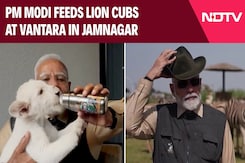 PM Modi Inaugurates Vantara In Jamnagar, Feeds Lion Cubs, Giraffes PM Modi Inaugurates Vantara In Jamnagar, Feeds Lion Cubs, Giraffes