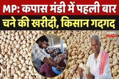 Khargone: कपास मंडी में पहली बार Doller चने की खरीदी, किसानों को मिलेंगे ये तीन बड़े फायदे | Kisan Khargone: कपास मंडी में पहली बार Doller चने की खरीदी, किसानों को मिलेंगे ये तीन बड़े फायदे | Kisan