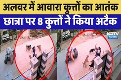 Alwar में Stray Dogs का आतंक, छात्रा पर 8 कुत्तों ने किया अटैक,Video हुआ Viral Alwar में Stray Dogs का आतंक, छात्रा पर 8 कुत्तों ने किया अटैक,Video हुआ Viral
