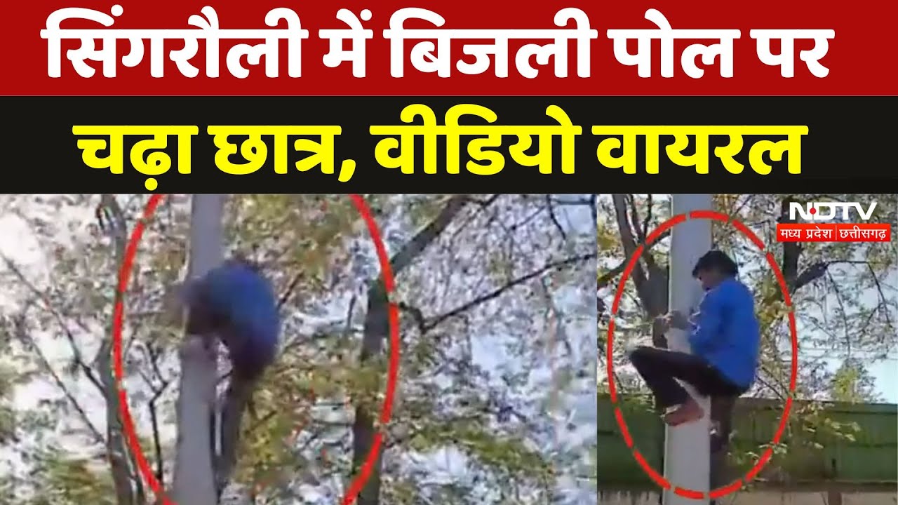 Singrauli News: वाहन Checking से नाराज छात्र बिजली पोल पर चढ़ा, Video हो गया Viral | Madhya Pradesh