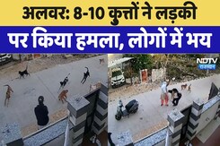 8-10 कु्त्तों ने लड़की पर किया हमला, लोगों में दहशत 8-10 कु्त्तों ने लड़की पर किया हमला, लोगों में दहशत