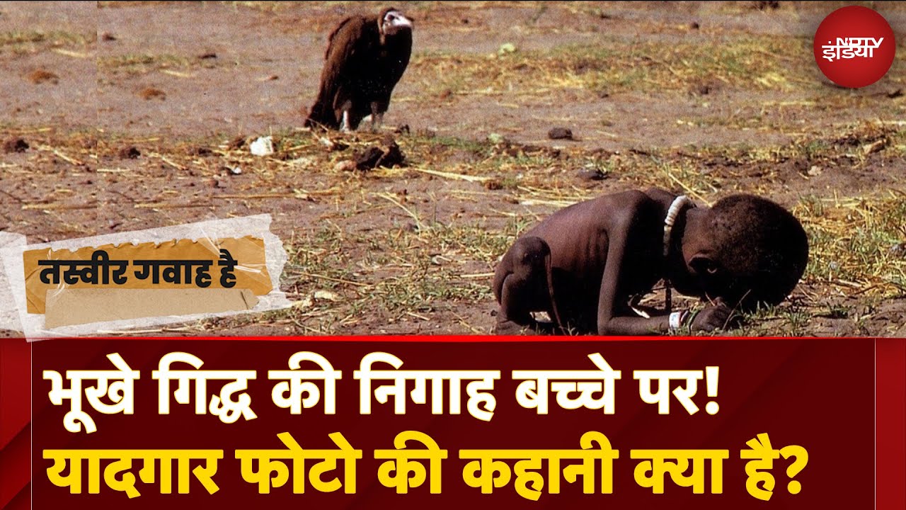 The Vulture And The Little Girl: वो Picture की जिसे Click करने के बाद Photographer ने दे दी थी जान! The Vulture And The Little Girl: वो Picture की जिसे Click करने के बाद Photographer ने दे दी थी जान!