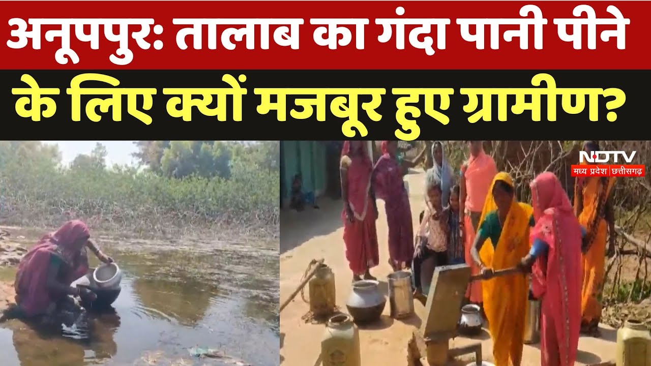 Anuppur में नल-जल योजना बनी दिखावा! तालाब का गंदा पानी के लिए मजबूर हुए लोगों ने क्या कहा? Anuppur में नल-जल योजना बनी दिखावा! तालाब का गंदा पानी के लिए मजबूर हुए लोगों ने क्या कहा?