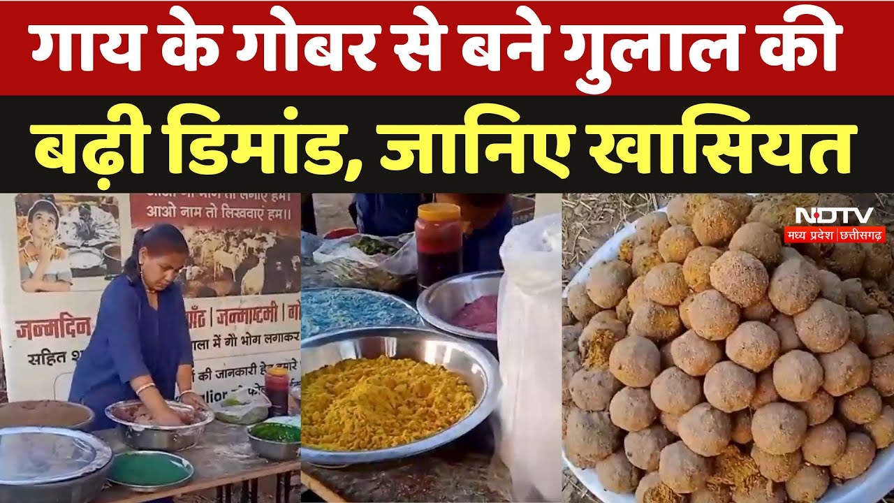 Herbal Gulal For Holi: पालक, चुकंदर और गाय के गोबर से कैसे बनाया जा रहा गुलाल, Video में देखिए