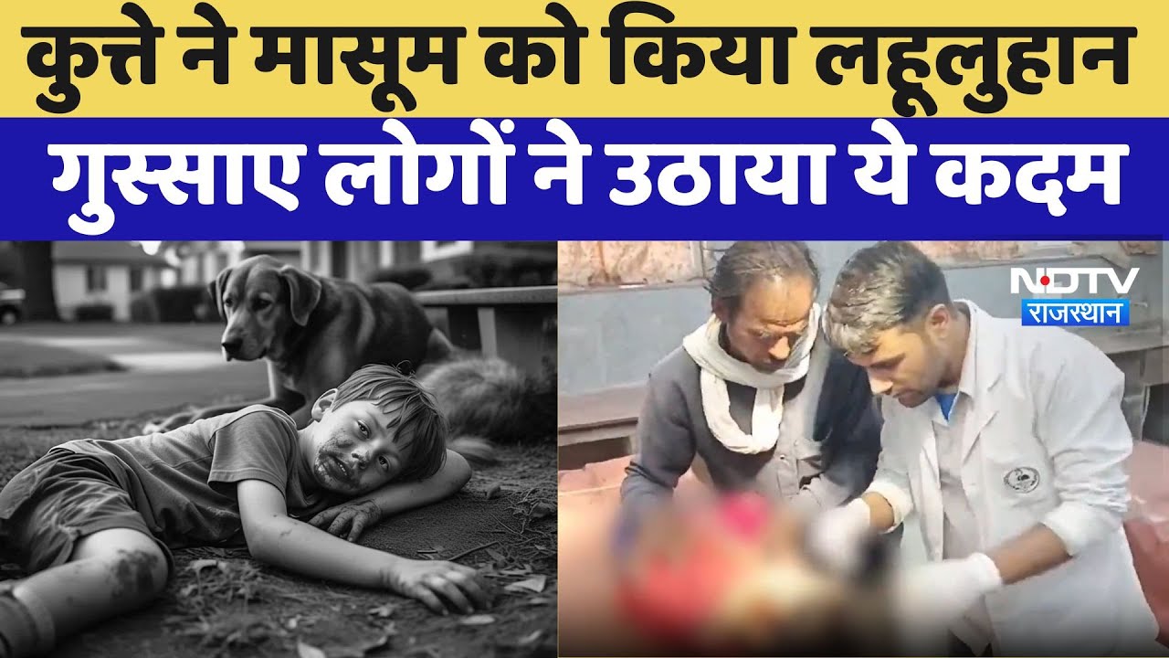 Ajmer Dog Attack: कुत्ते ने मासूम को किया लहूलुहान गुस्साए लोगों ने उठाया ये कदम | Latest News
