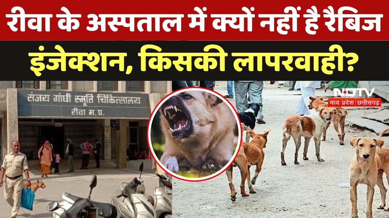 Rewa में बढ़ रहे Dog Bite के मामले फिर भी Sanjay Gandhi Hospital में क्यों नहीं है Rabies Injection