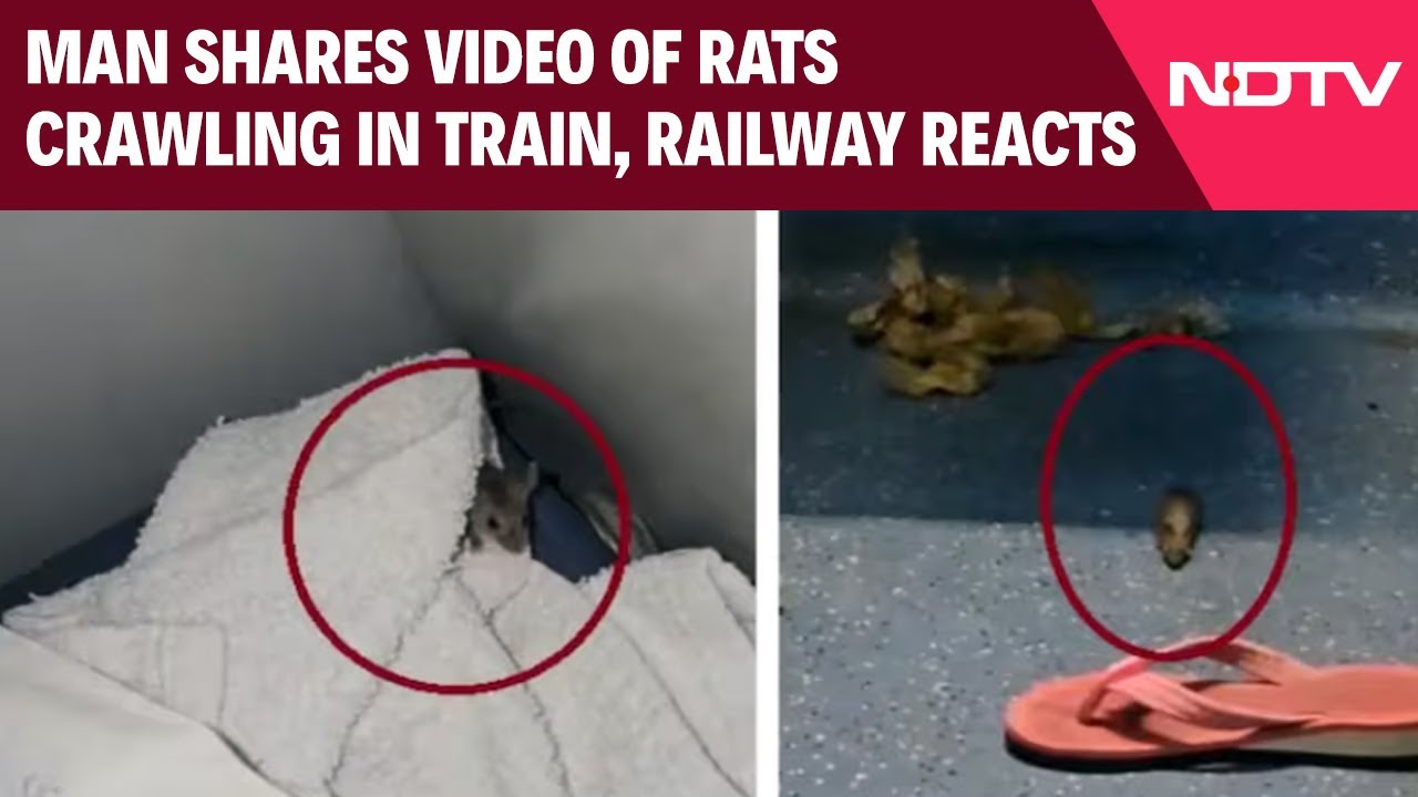 South Bihar Express | Man Shares Video Of Rats Crawling In South Bihar Express's AC Coach, Railways Reacts