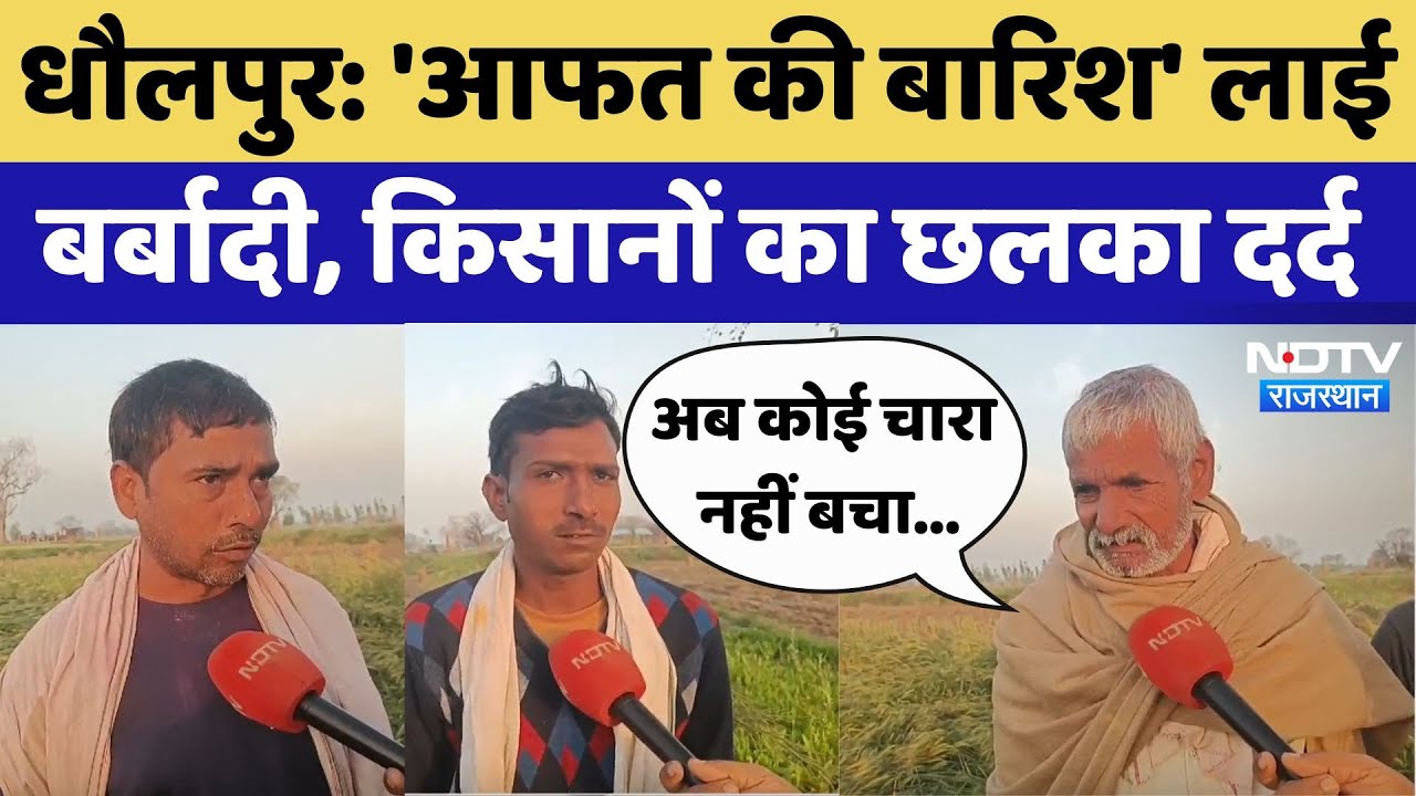 Rajasthan Weather: मौसम की मार से फसलें बर्बाद, चिंता में पड़े किसान | Crops Damage | Rajasthan New