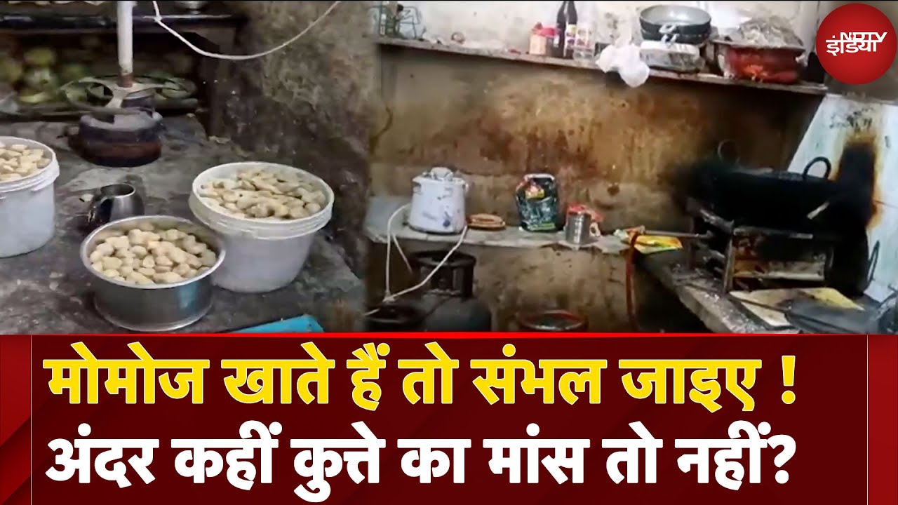 Health Risks of Momos: मोमोज खाते हैं तो संभल जाइए ! अंदर कहीं कुत्ते का मांस तो नहीं? | NDTV India