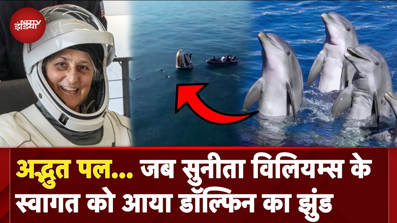 Sunita Williams Return Video: जब सुनीता विलियम्स के स्वागत को आया Dolphins का झुंड | Space | NASA