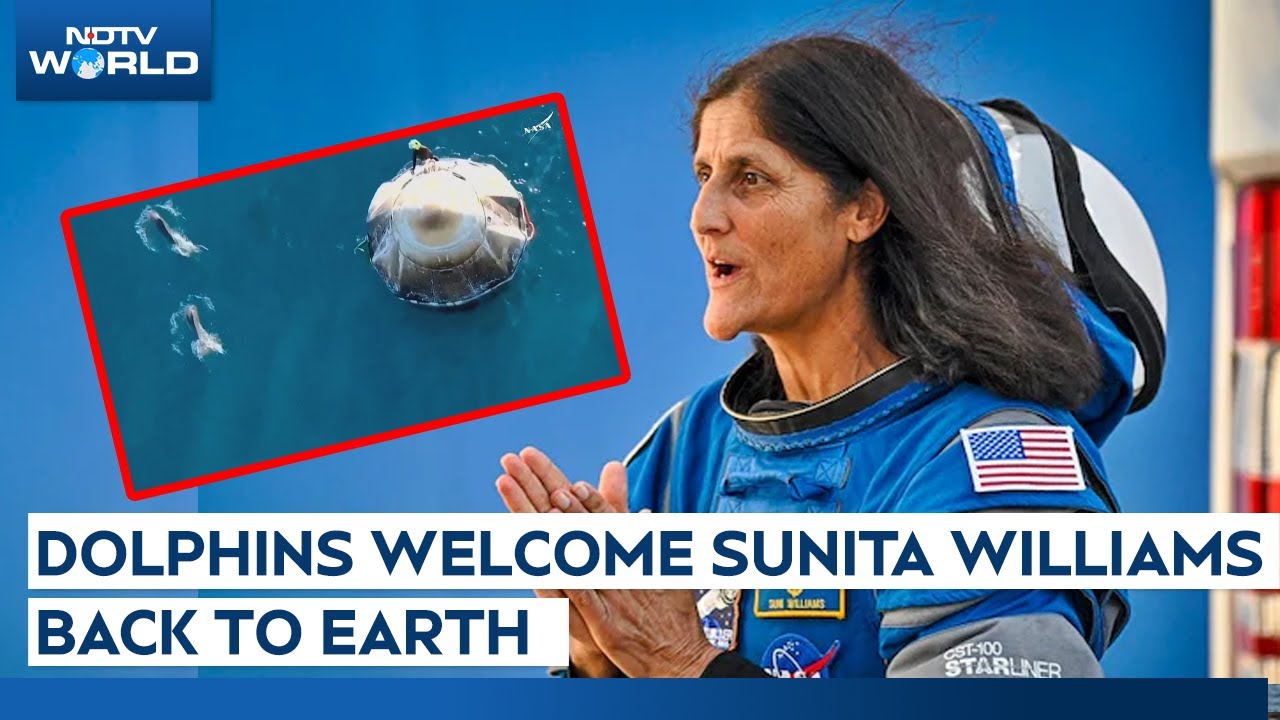 Sunita Williams Returns | Dolphins Welcome NASA Astronauts To Earth | Splashdown Video