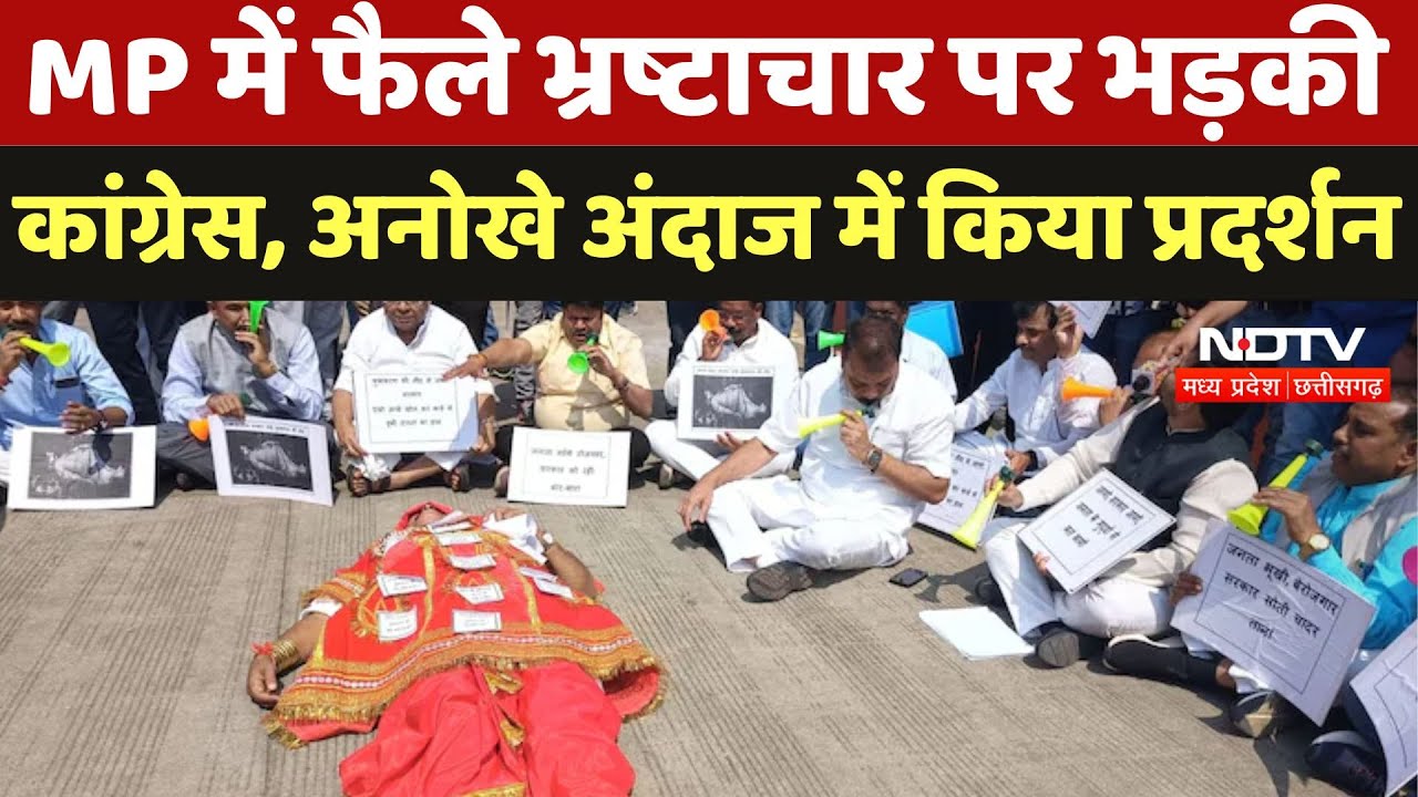 Congress in Protest: MP में फैले Corruption पर भड़की कांग्रेस, अनोखे अंदाज में किया प्रदर्शन Congress in Protest: MP में फैले Corruption पर भड़की कांग्रेस, अनोखे अंदाज में किया प्रदर्शन