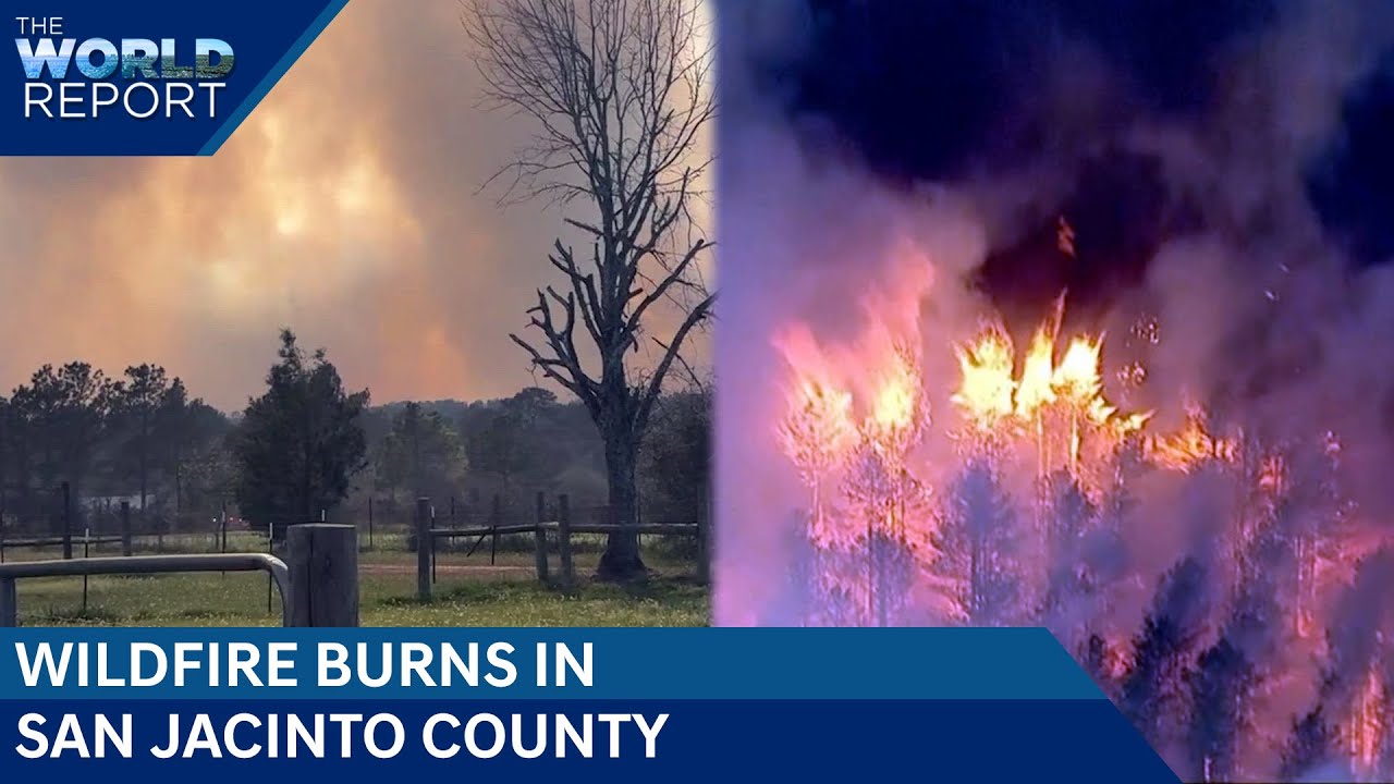 Texas Wildfires Burn 18,000+ Acres, Threaten 1200+ Homes | Brush Fire In Florida | The World Report