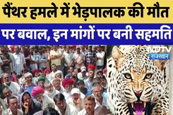 Pali-Sumerpur: Panther Attack में भेड़पालक की मौत पर धरना, मुआवजे और नौकरी की मांग पर बनी सहमति Pali-Sumerpur: Panther Attack में भेड़पालक की मौत पर धरना, मुआवजे और नौकरी की मांग पर बनी सहमति