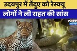 उदयपुर में Leopard को Rescue, लोगों ने ली राहत की सांस