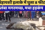 रिहायशी इलाके में घुसा 8 Feet Long Crocodile, मचा हड़कंप