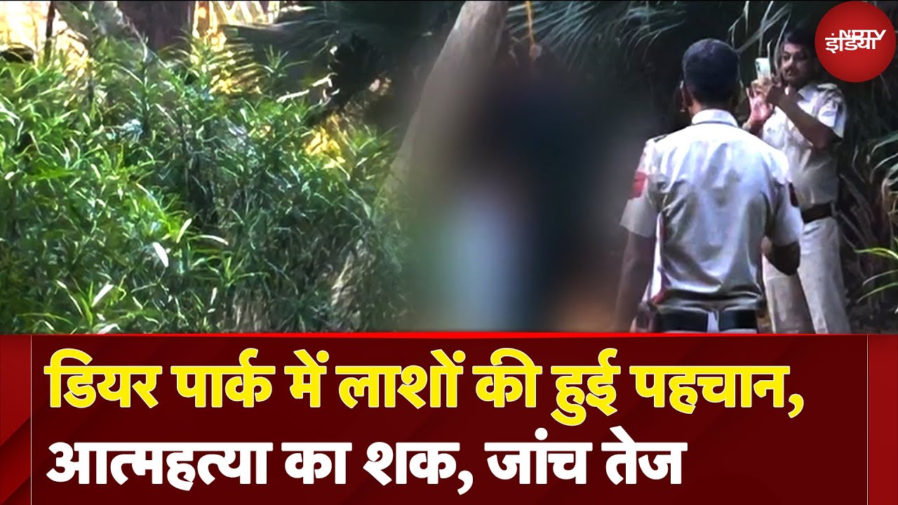 BREAKING NEWS: Delhi Deer Park में पेड़ से लटकता मिला किशोर और किशोरी का शव, सुसाइड की आशंका BREAKING NEWS: Delhi Deer Park में पेड़ से लटकता मिला किशोर और किशोरी का शव, सुसाइड की आशंका