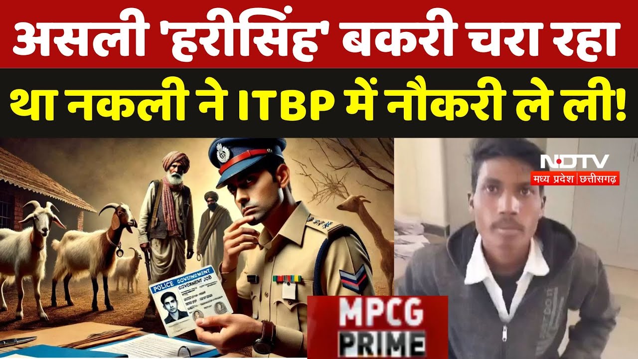 Shivpuri Viral News: असली 'Harisingh' बकरी चरा रहा था नकली ने ITBP में नौकरी ले ली!