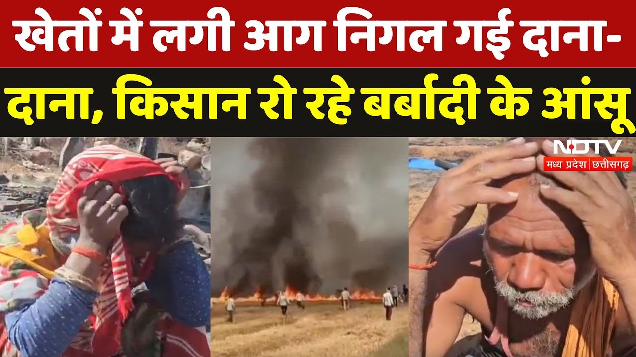 Shivpuri News: खेतों में लगी आग से सब जलकर खाक, किसानों का छलका दर्द | Crops | Farmers | NDTV MPCG