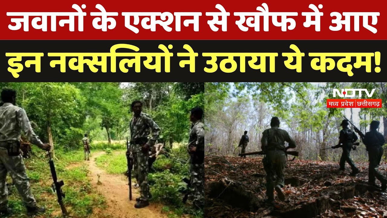 50 Naxalite Surrendered: जवानों के एक्शन से डरे इन 50 नक्सलियों ने कर दिया सरेंडर, देखिए Video
