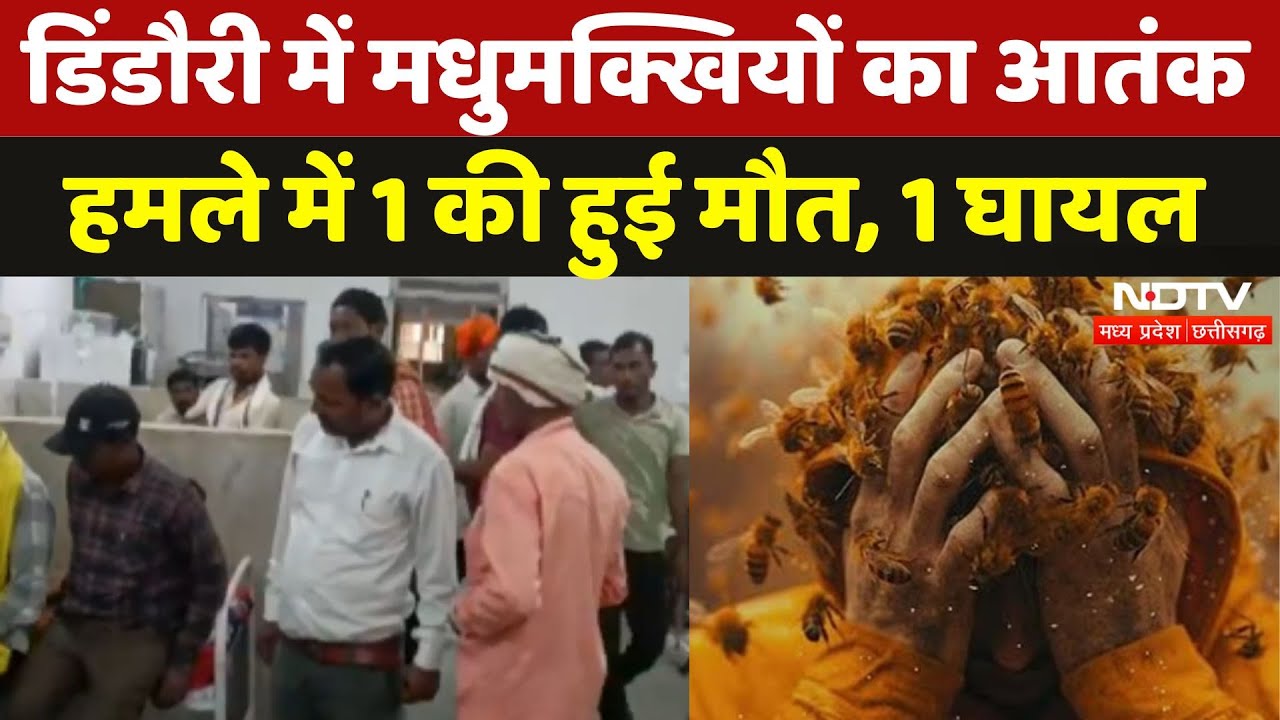Dindori में मधुमक्खियों के झुंड ने फसल काटने के दौरान ग्रामीण पर किया हमला, हुई मौत | Madhya Pradesh