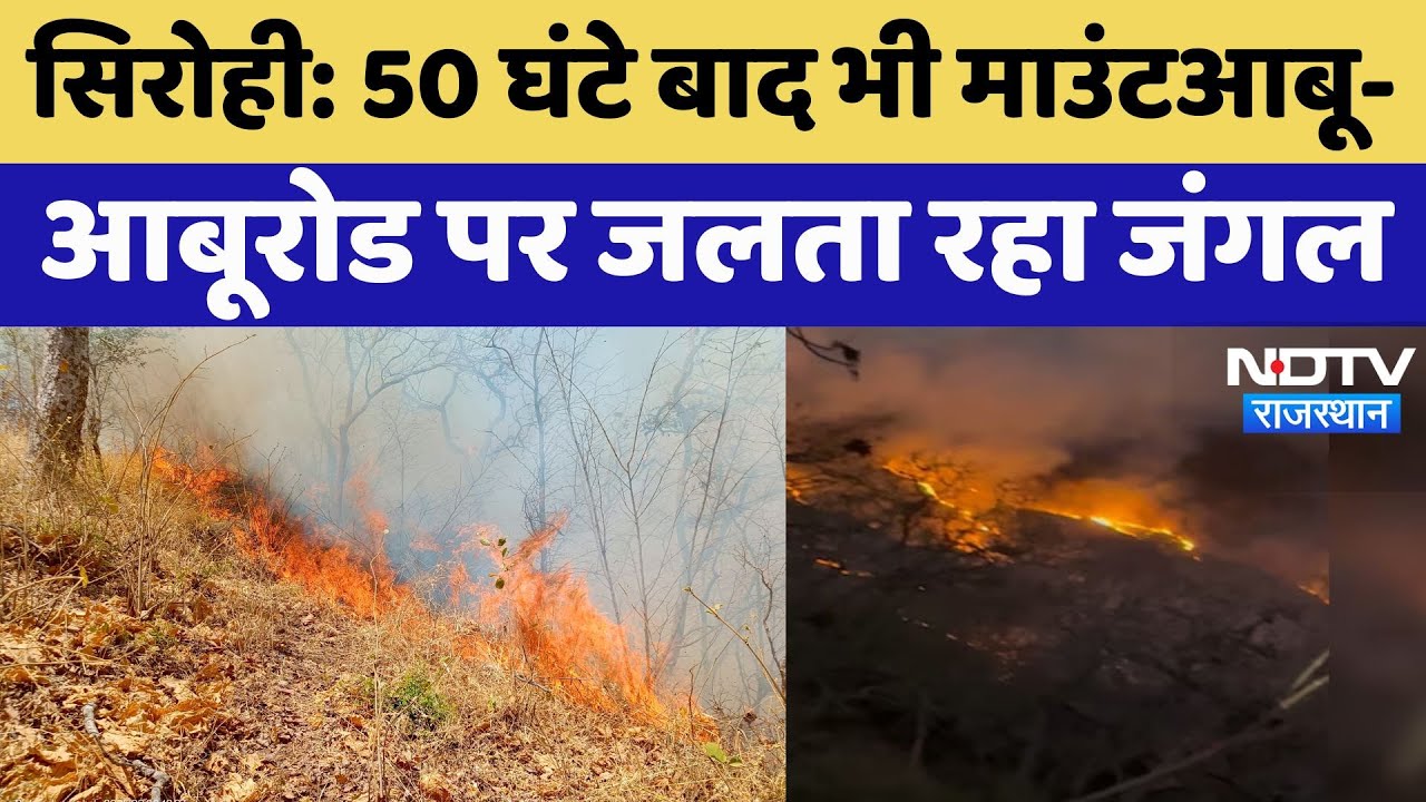 Sirohi News: 50 घंटे बाद भी माउंटआबू- आबूरोड पर जलता रहा जंगल | Rajasthan Forest Fire | Latest News