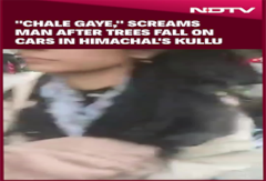 Himachal Pradesh Landslide | "Chale Gaye," Screams Man After Trees Fall On Cars In Himachal's Kullu Himachal Pradesh Landslide | "Chale Gaye," Screams Man After Trees Fall On Cars In Himachal's Kullu