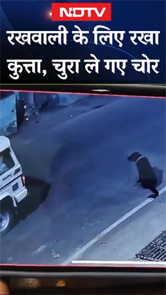 Uttar Pradesh में कुत्ते की चोरी का CCTV Video Viral | UP News | Dog News | Viral Video | SHORTS