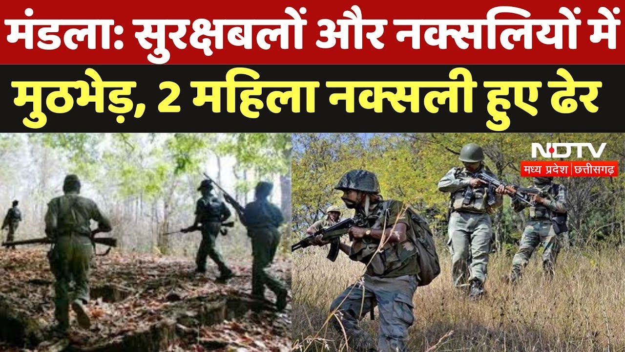 Mandla Naxal Encounter: सुरक्षाबलों और नक्सलियों के मुठभेड़ में 2 महिला नक्सली ढेर, सर्च ऑपरेशन जारी