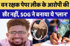 Forest Guard Paper Leak Case के फरार आरोपी पर 50 हजार इनाम घोषित | Rajasthan News | Breaking News Forest Guard Paper Leak Case के फरार आरोपी पर 50 हजार इनाम घोषित | Rajasthan News | Breaking News