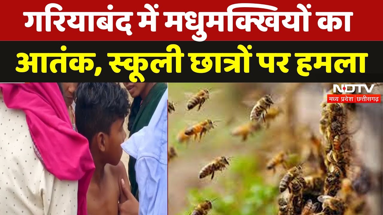 Bee Attack in Gariyaband: School Students पर मधुमक्खियों के हमले से हड़कंप | Viral | Chhattisgarh
