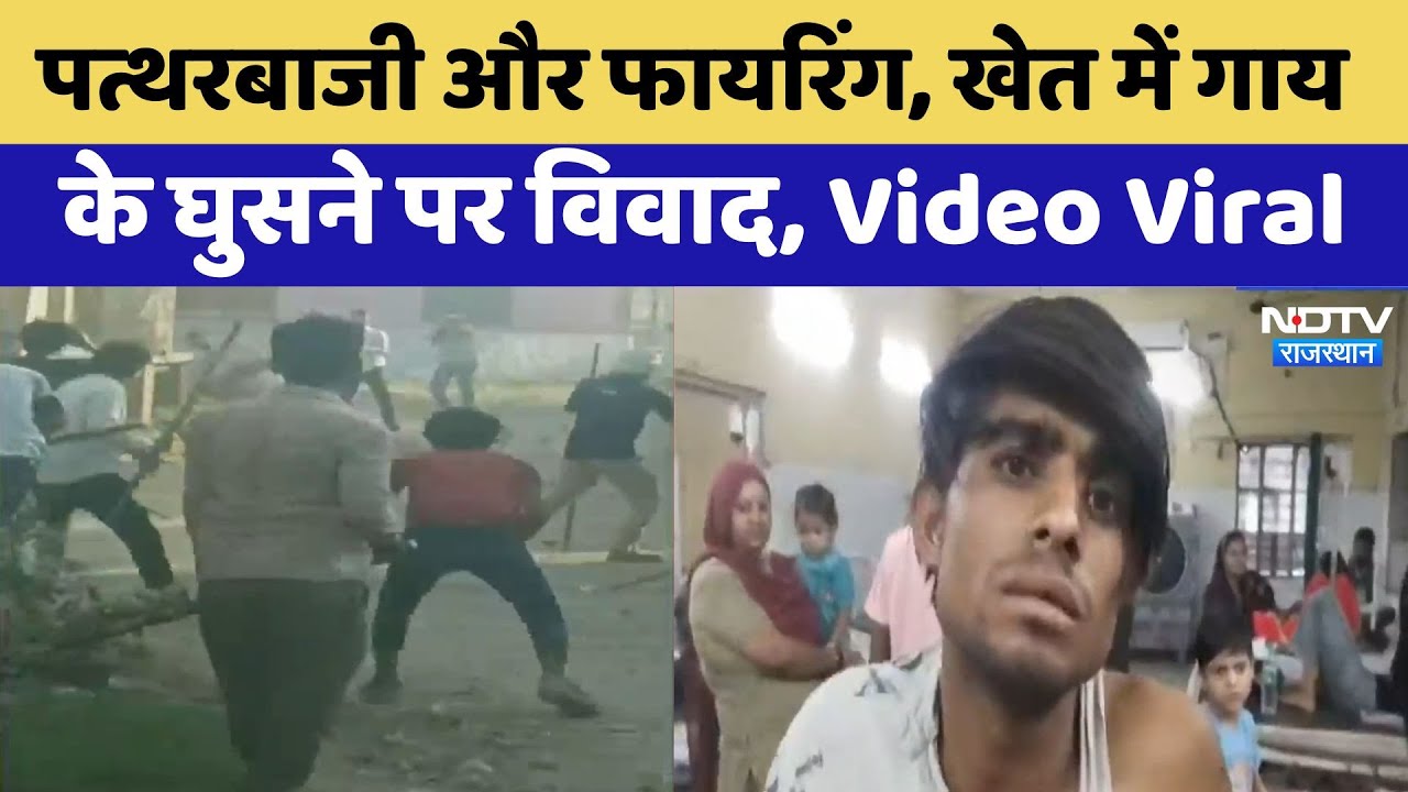 Rajasthan: Alwar में खेत में गाय के घुसने को लेकर हुआ विवाद, एक पक्ष ने दूसरे पर कर Firing | Viral