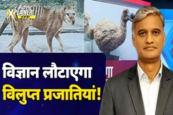 NDTV Xplainer: क्या Tasmanian Tiger और डोडो जैसे विलुप्त जंतुओं को देख पाएंगे हम? NDTV Xplainer: क्या Tasmanian Tiger और डोडो जैसे विलुप्त जंतुओं को देख पाएंगे हम?