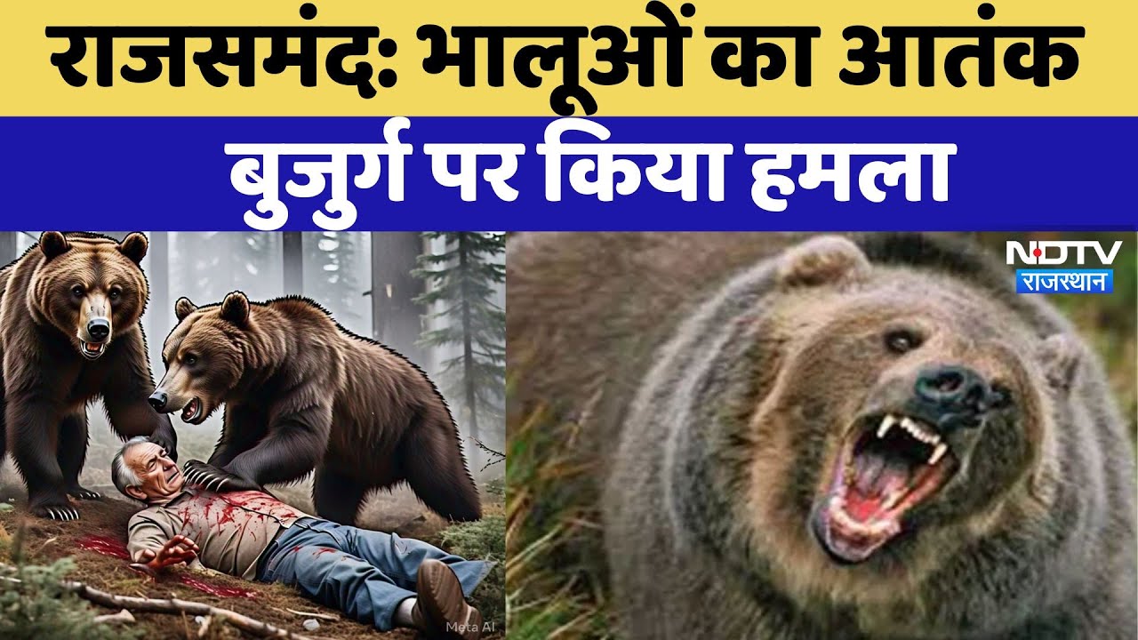Bears Attacked: Rajsamand में घर के बाहर वृद्ध पर दो भालू ने किया हमला, दर्दनाक मौत