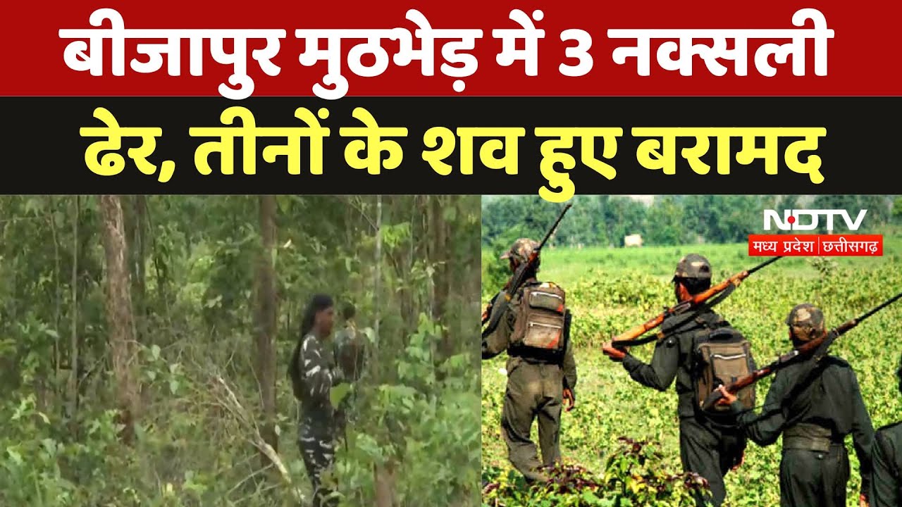 Bijapur Naxal Encounter: मुठभेड़ में 3 Naxali ढेर, तीनों Naxalites के शव बरामद | Chhattisgarh News