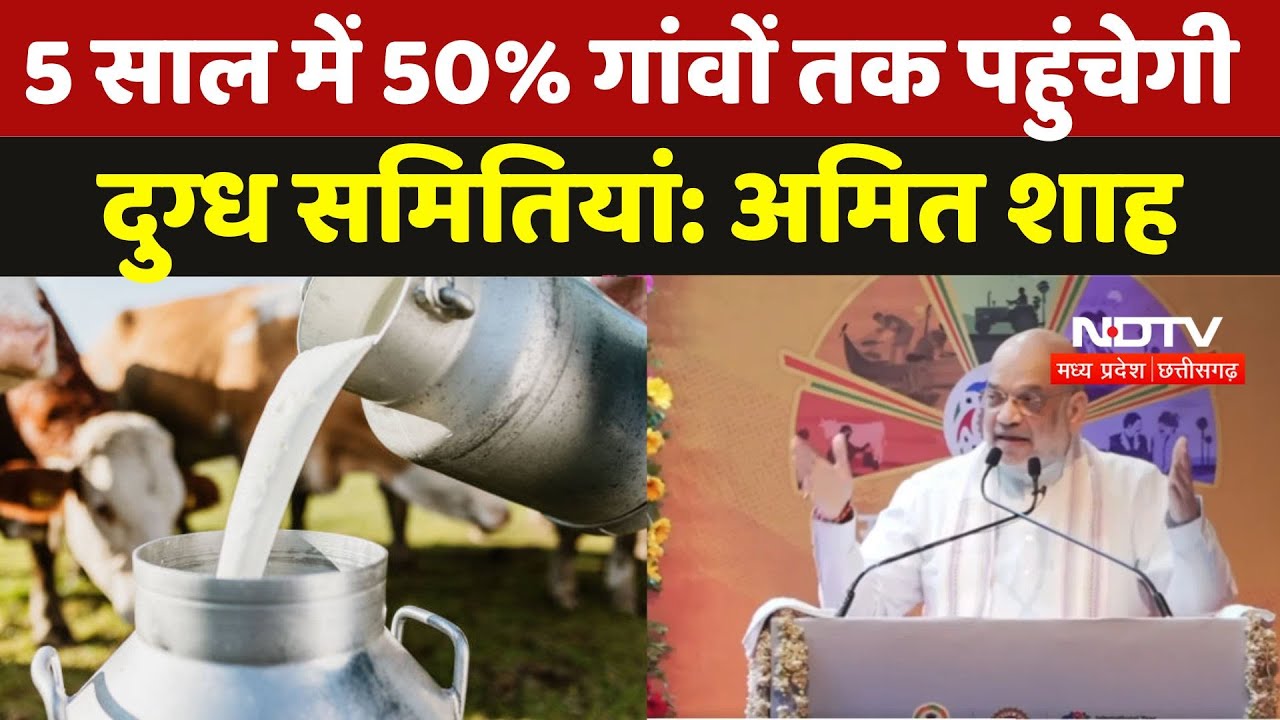 MP Milk Federation MoU: 5 साल में 50% गांवों तक पहुंचेगी दुग्ध समितियां: Amit Shah | Latest News |MP