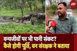 Rajaji Tiger Park की Exclusive NDTV Ground Report: ACF Ajay Lingwal ने खोले Wildlife के राज! Rajaji Tiger Park की Exclusive NDTV Ground Report: ACF Ajay Lingwal ने खोले Wildlife के राज!