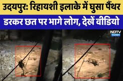 Udaipur Leopard: कुत्तों के पीछे दौड़ते हुए पैंथर का Video Viral | Latest News | Rajasthan News Udaipur Leopard: कुत्तों के पीछे दौड़ते हुए पैंथर का Video Viral | Latest News | Rajasthan News