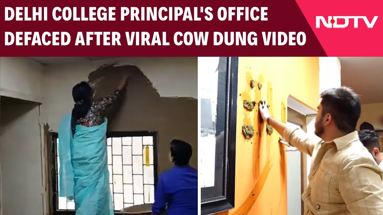 Delhi University | Delhi College Principal's Office Defaced After Viral Cow Dung Video Delhi University | Delhi College Principal's Office Defaced After Viral Cow Dung Video