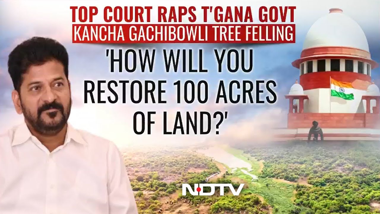 Kancha Gachibowli Case | SC Raps Telangana Govt, 'How Will You Restore 100 Acres Of Land?'