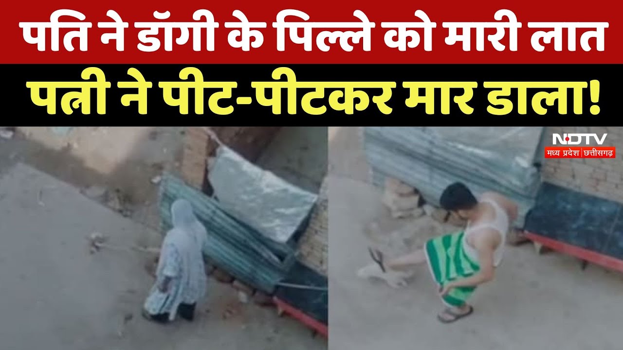 Husband-Wife Killed Dog Puppy: पिल्ले को पीटकर मार डाला, Video सोशल मीडिया पर हुआ Viral | Latest