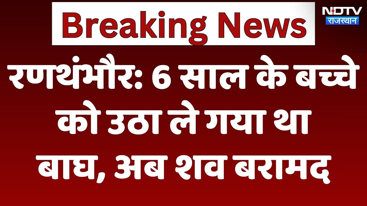 रणथंभौर: 6 साल के बच्चे को उठा ले गया था बाघ, अब शव बरामद