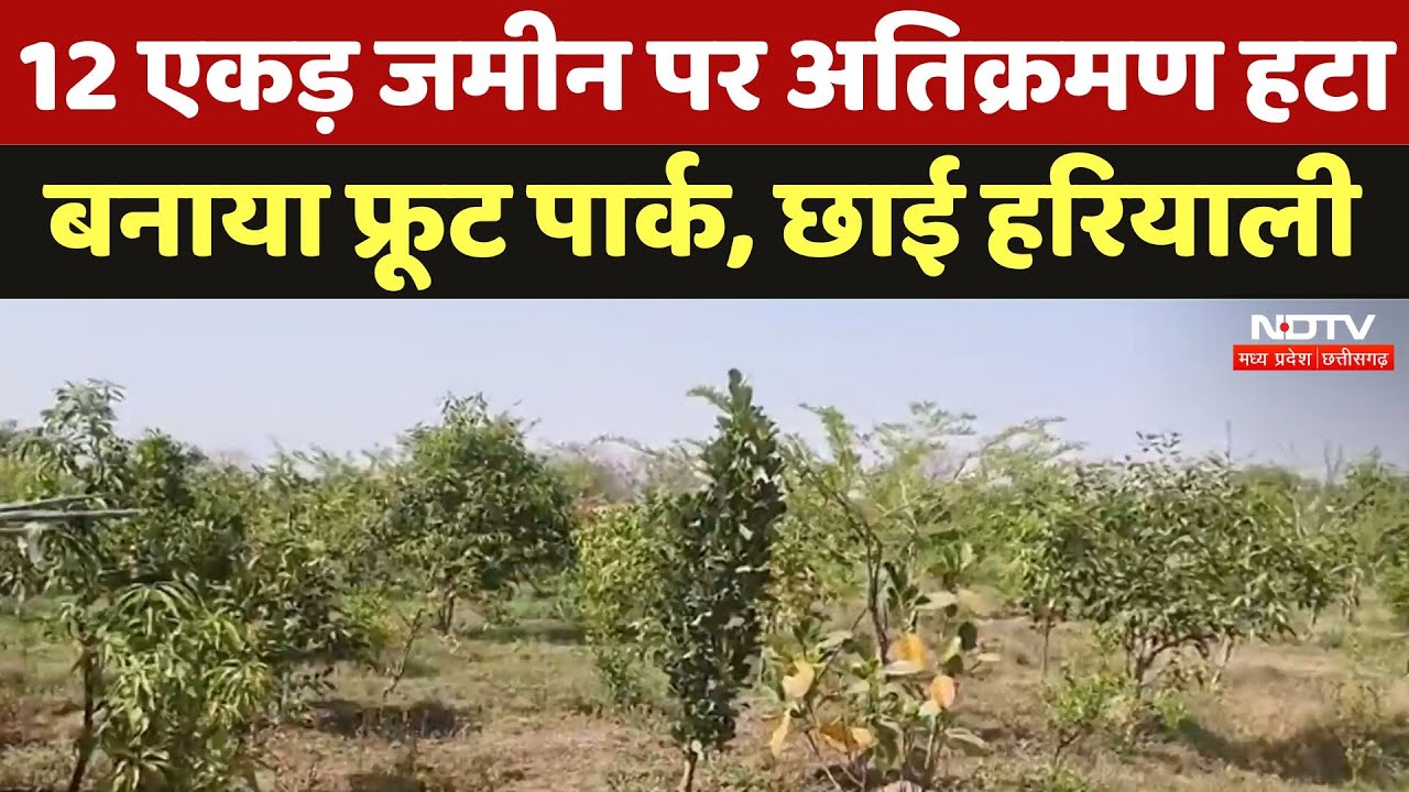 Chhatarpur Fruit Park : 12 एकड़ जमीन पर Encroachment हटा बनाया फ्रूट पार्क, अब फलों की बहार...