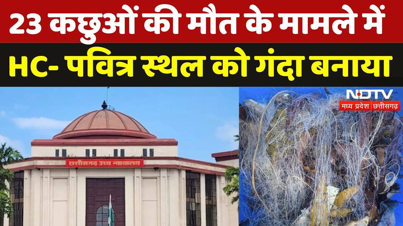 Chhattisagarh: Ratanpur में कछुओं की मौत, अब High Court की सख्त टिप्पणी | Breaking | Latest News