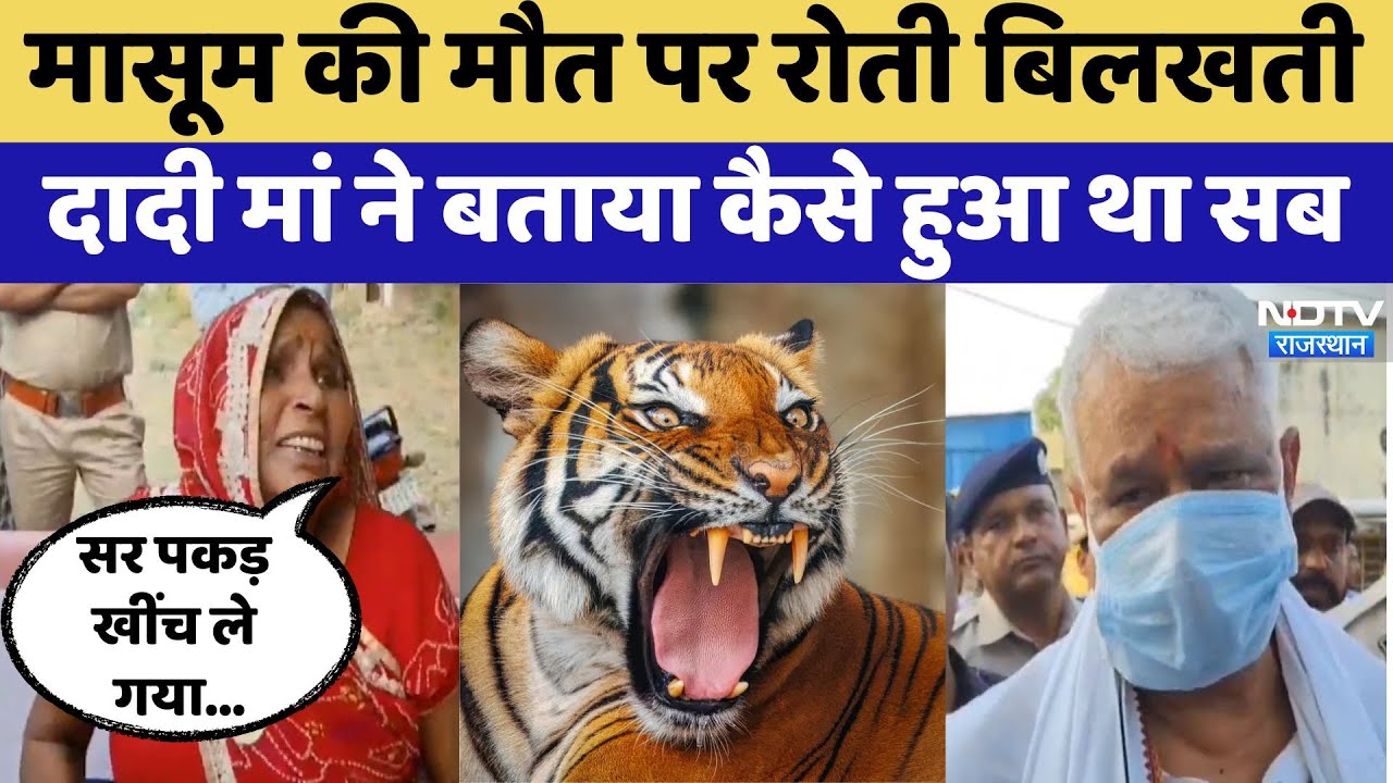Ranthambore National Park: मासूम की मौत के बाद दादी मां ने बताया कैसे घटी घटना?