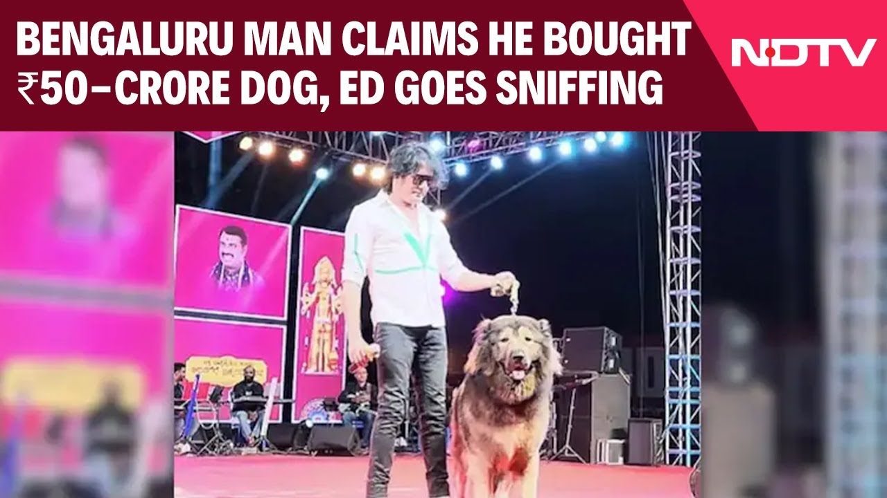 Bengaluru Man Claims He Bought Rs 50-Crore Dog, Probe Agency Goes Sniffing